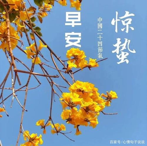 正月廿二惊蛰创意好看的早安问候祝福图片带字温馨