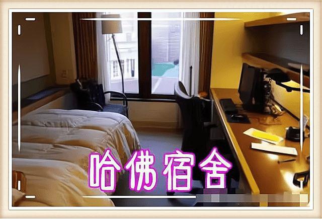 同样是大学宿舍清北和哈佛耶鲁不在一个级别学生我去清华