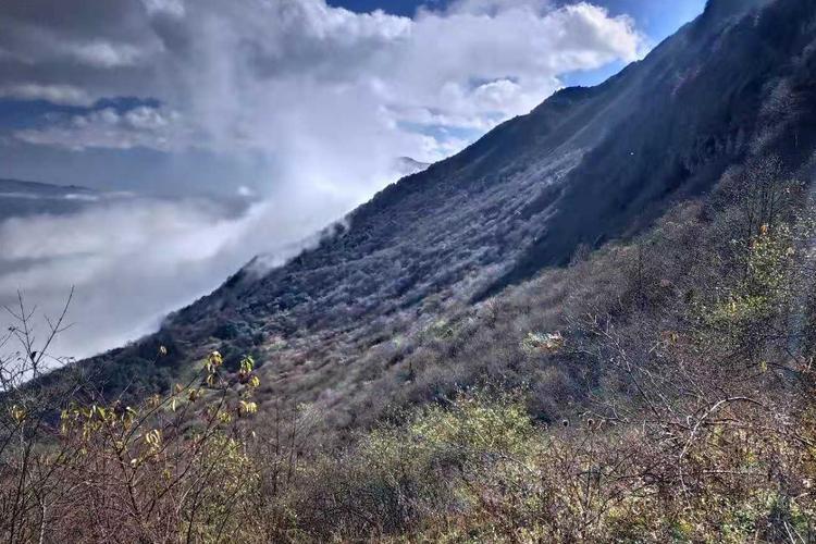 原创攀登昭通巧家药山第三天看最美丽的云海遇上好心的老乡留宿
