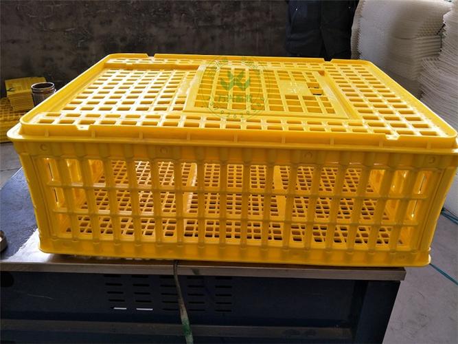 塑料鸡笼 鸡用运输笼 鸡周转筐
