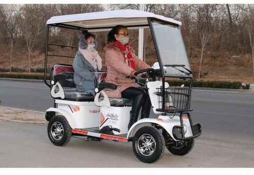 新款德州小巴士电动四轮电瓶车成人四轮观光车e6残疾人电动车包邮_7折