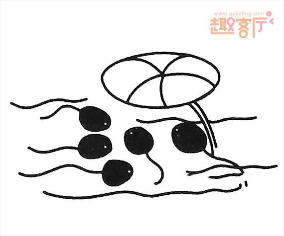 小蝌蚪图片 小蝌蚪简笔画