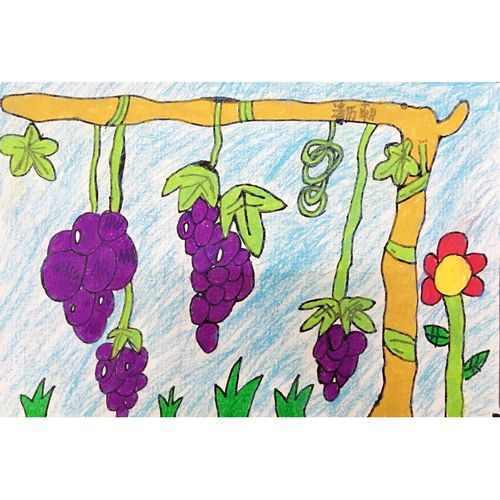 湖山艺校-儿童写画班《葡萄》