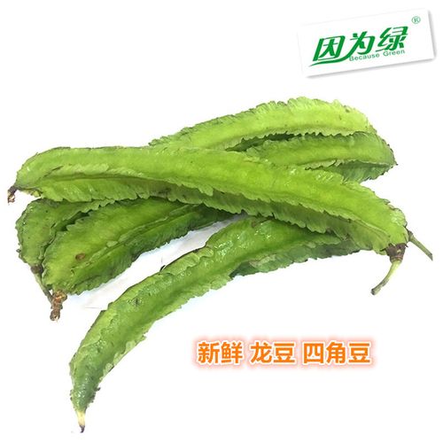 四角豆
