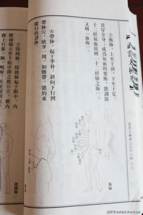 《针灸甲乙经》:"冲脉任脉者,皆起于胞中,上循脊里,为经络之海.