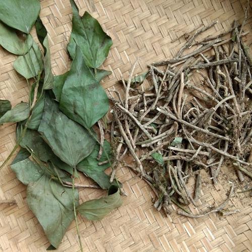 伟博贵州藤本三角枫草药中药材三角风农产品新晒干货三各风500克