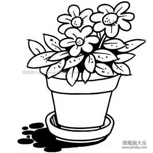 【花盆和花的简笔画图片】花盆里的花简笔画