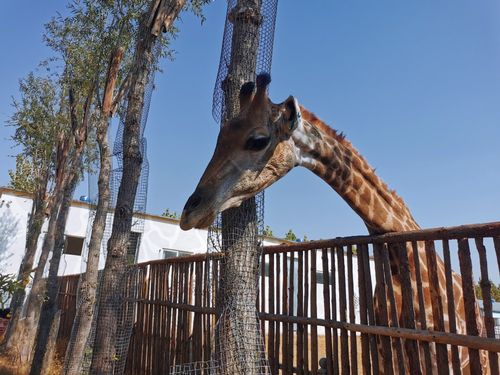 聊城滨河动物园