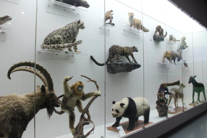 [转载]博物馆之北京自然博物馆