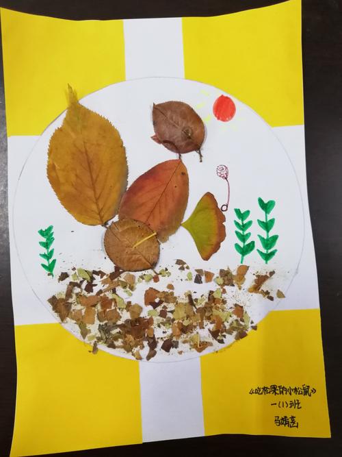 一只可爱的小松鼠