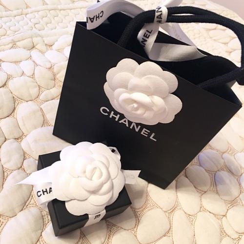 chanel香奈儿我的白茶花情节_香奈儿怎么样_山茶花