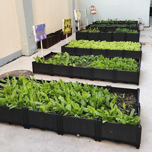 阳台蔬菜种植箱 种菜花盆露台 楼顶特大长方形立体