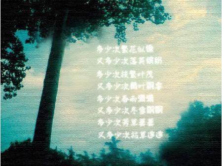 《往事如风,岁月如歌》