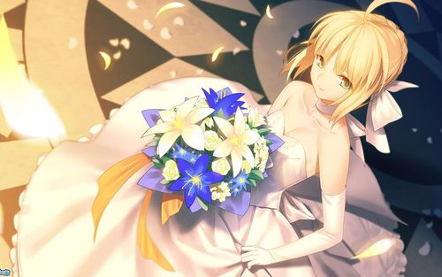 fgo新手向:第六最终章枪呆终于通关t^t