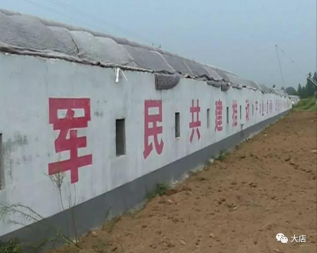 北部战区陆军副政委薛凝冰到大店镇检查督导扶贫工作