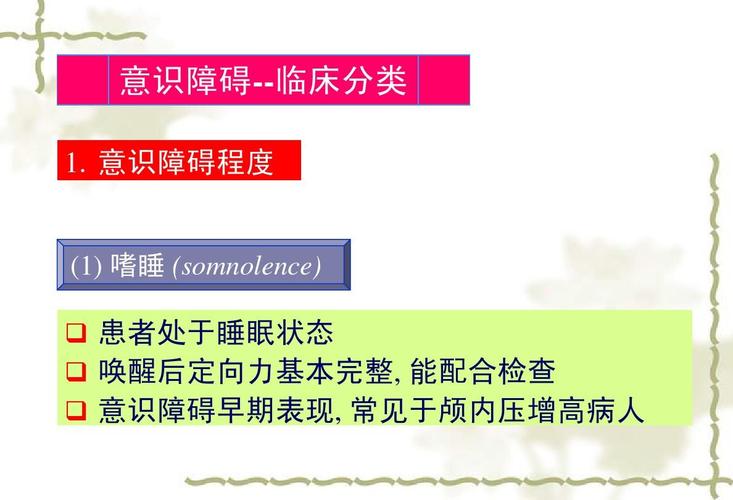 意识障碍分级ppt