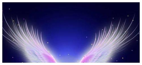 十二星座专属梦幻翅膀水瓶座冰蓝羽翼双鱼座美的移不开眼