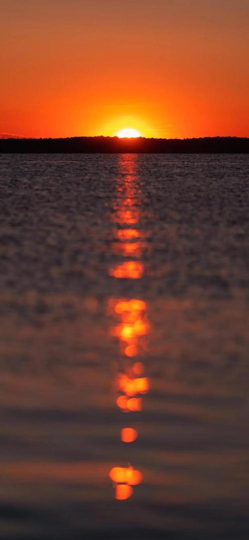 手机壁纸夕阳西下