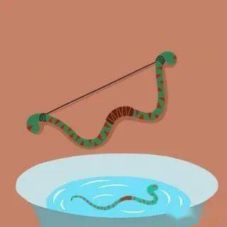 杯弓蛇影作文字