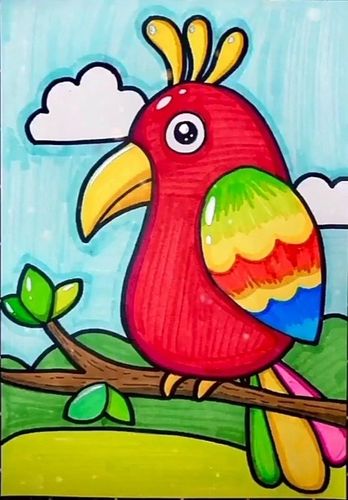 科举金喇叭儿童画线上课程——鹦鹉