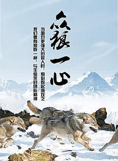 狼性团队口号 押韵洋气 团队有气势的宣誓词