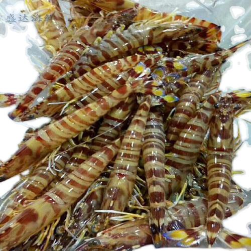 500g鲜活基围虾九节虾斑节虾活体新鲜海鲜水产