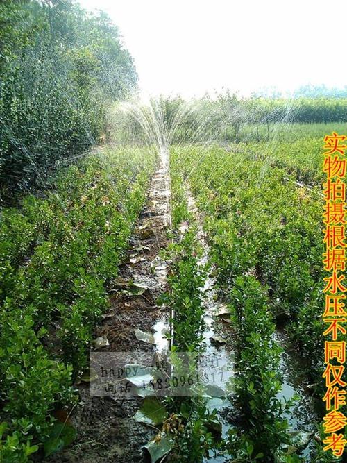 农用灌溉 黑水带 喷灌滴灌水管塑料软管 水泵出水管1.5寸2寸2.5寸