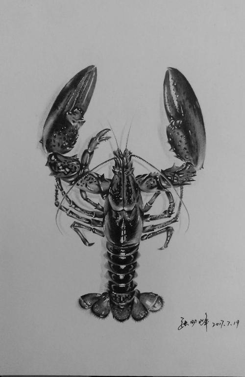 我的彩铅画——龙虾!