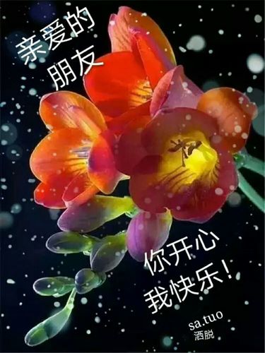 坚强女人,漂亮的花.
