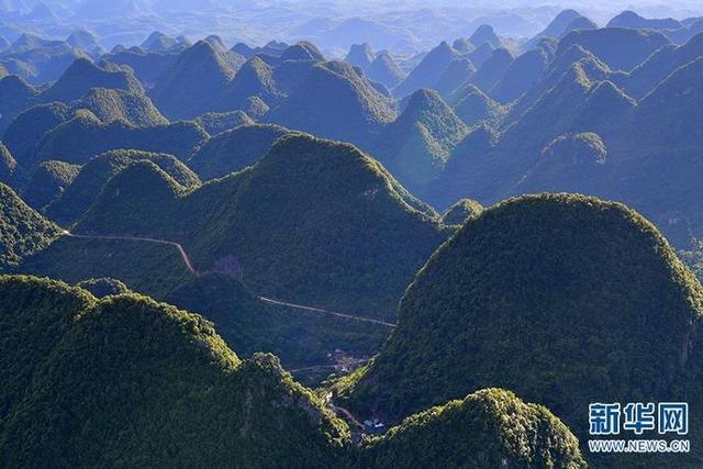 云南罗平县:夏日峰林美如画