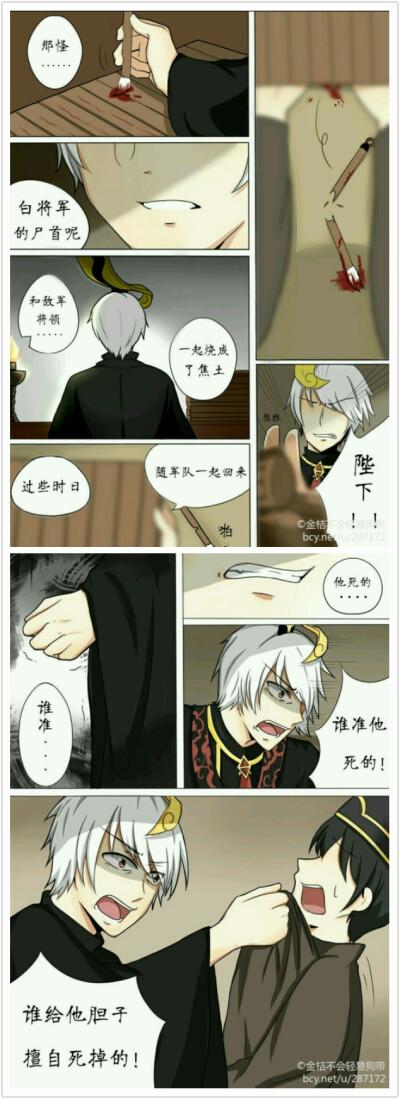 白赢