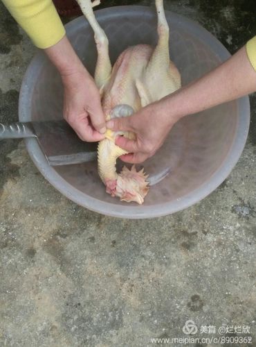 这个割鸡喉管技术得找到位置才能准确下刀,一般都是妈妈割好了才给我