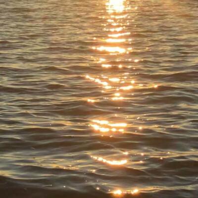 堆糖,美图壁纸兴趣社区