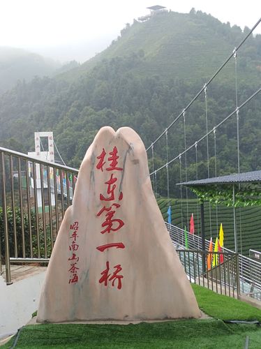 南山茶海玻璃桥,爱你不容易