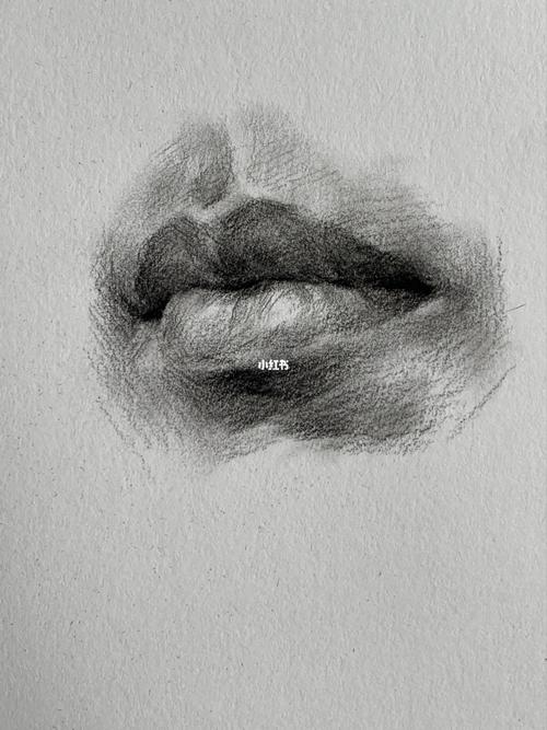 素描单体塑造步骤图 嘴巴篇_素描_美术生_绘画_文化