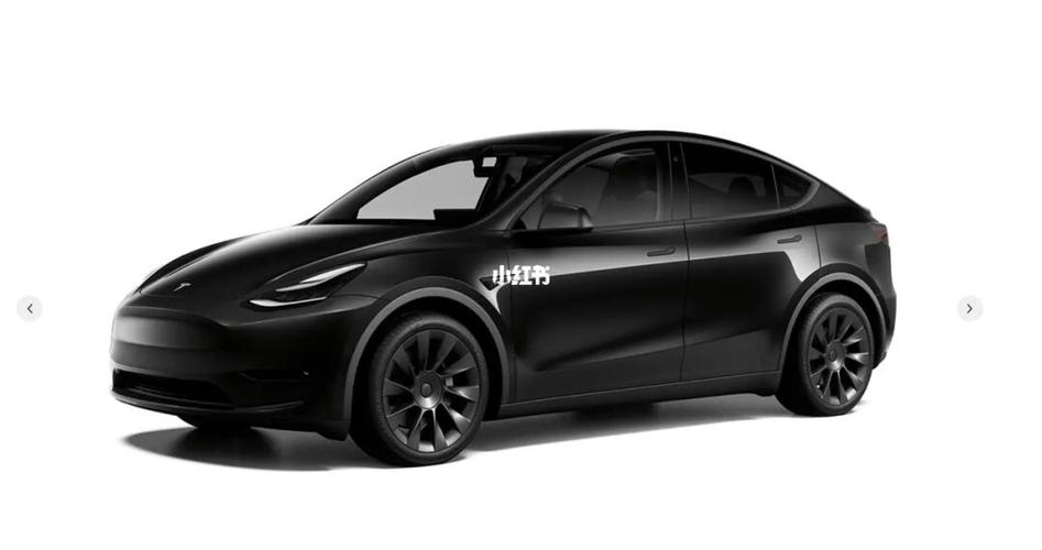 毛豆_特斯拉怎么样_特斯拉