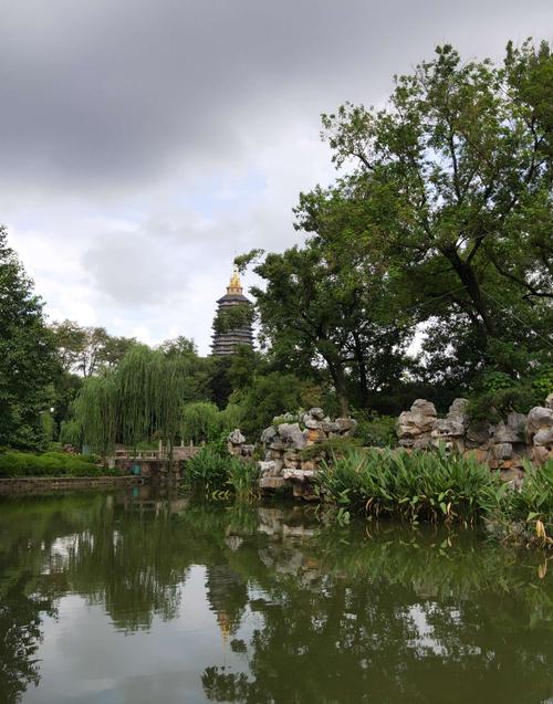 常州红梅公园随拍