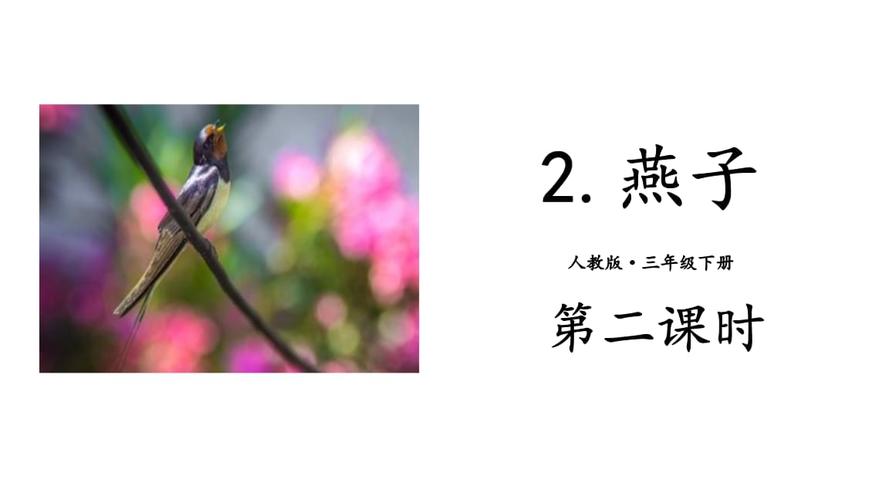 人教版语文三年级下册 燕子 (5).pptx 17页