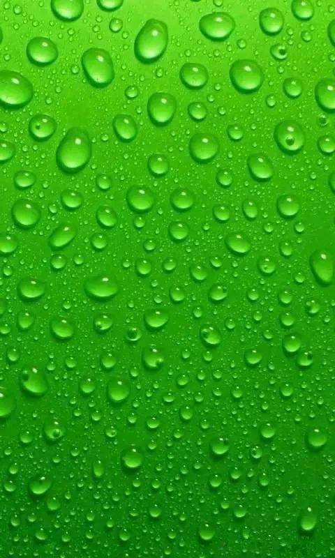 高清微信护眼图,选1张当聊天背景图吧!(附24首养生音乐)