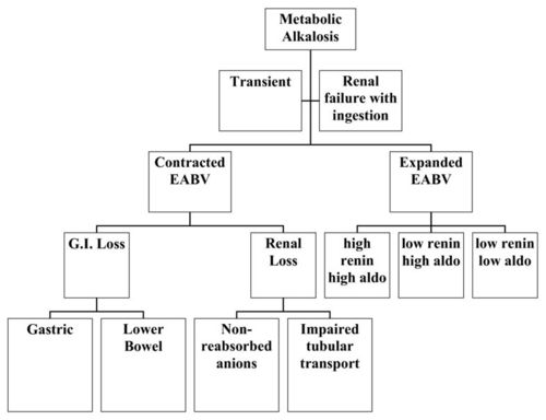 using a conceptual framework during learning attenua