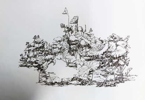 孙继武钢笔速写|纯艺术|绘画|艺生寄悟 - 原创作品