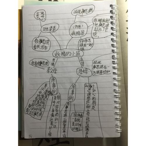 阅读整本书后构思的思维导图