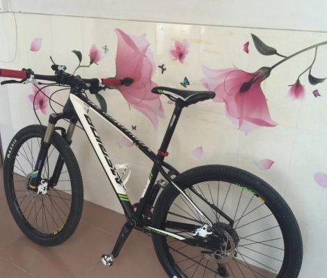 3000出15款升级版美利达挑战者700