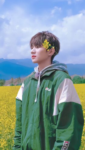 王源春暖花开手机电脑壁纸