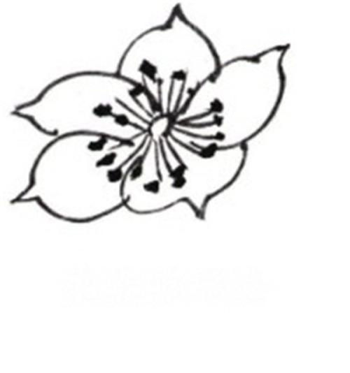 海棠花画法简笔画图片 第2名