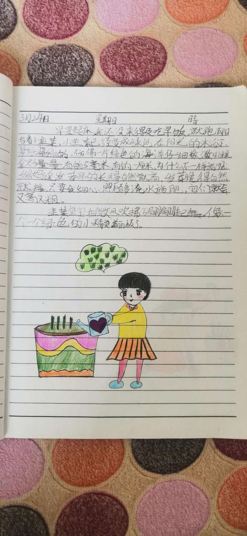 小韭菜的生长日记
