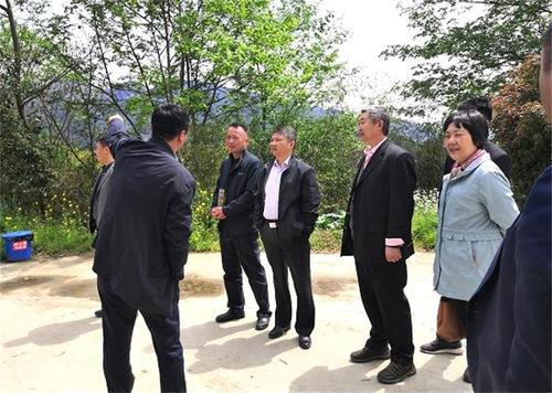 雷建鸣率队赴大塘村访户问"春茶"_桐城文明网