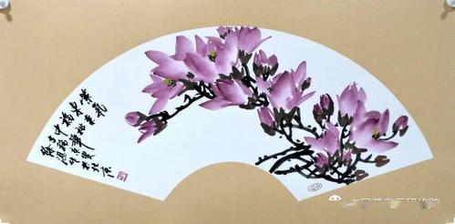 《玉树临风 含笑迎春》徐湛教授玉兰扇面作品欣赏