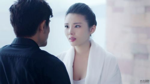 冒险王卫斯理_标签_网易出品