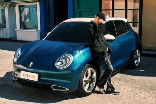 欧拉好猫有些不想等了_武汉自由行热门攻略_欧拉_汽车